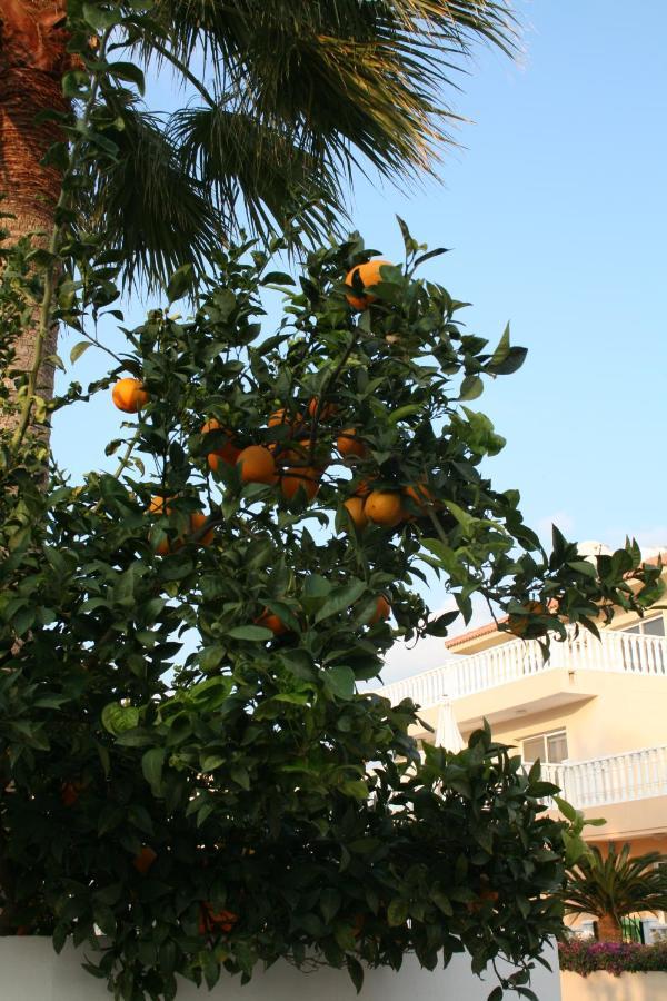 Nissi Villa Айя-Напа Екстер'єр фото